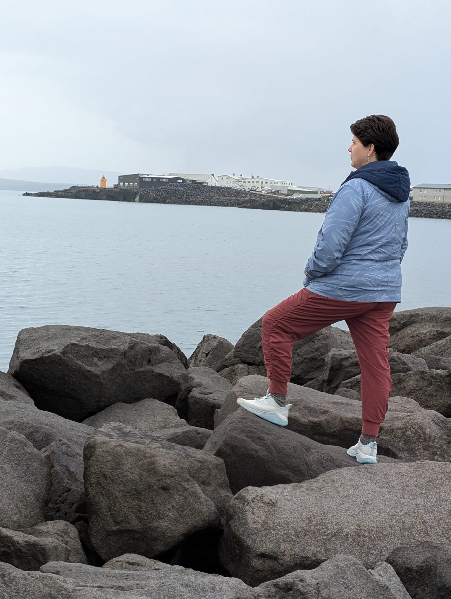 Blue Coat looking out